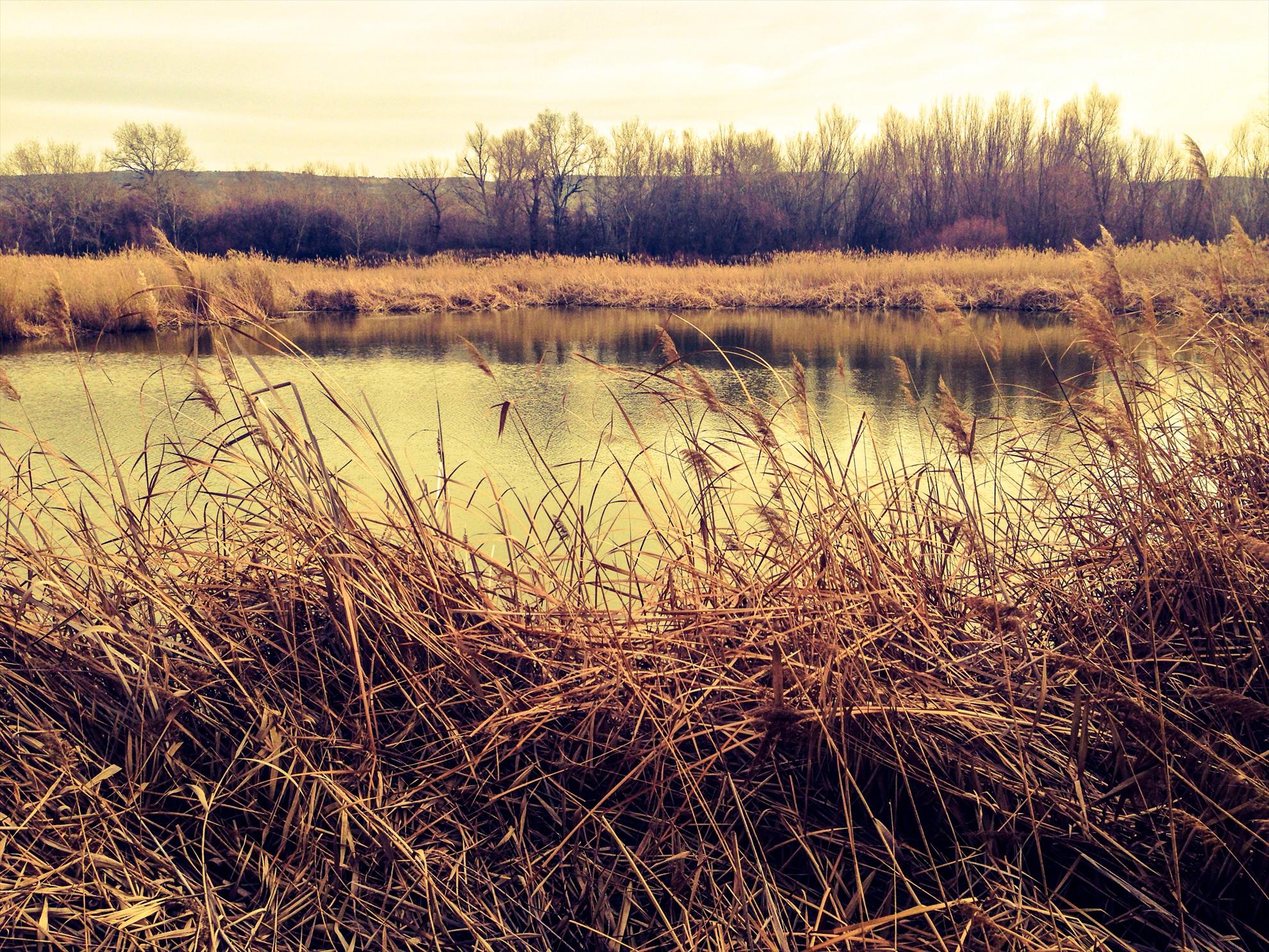 2013-4 - image11.jpg